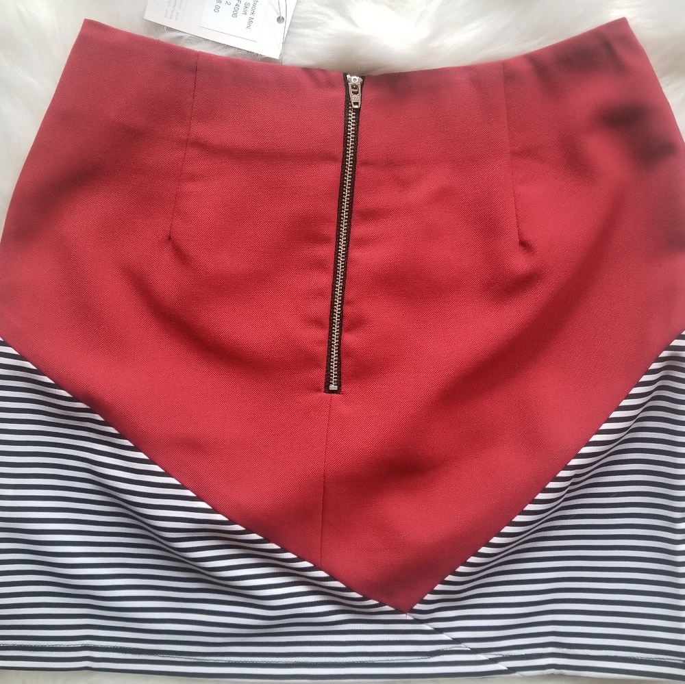 Cutwork Mini Skirt - Picture 5 of 5